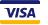 Visa card icon